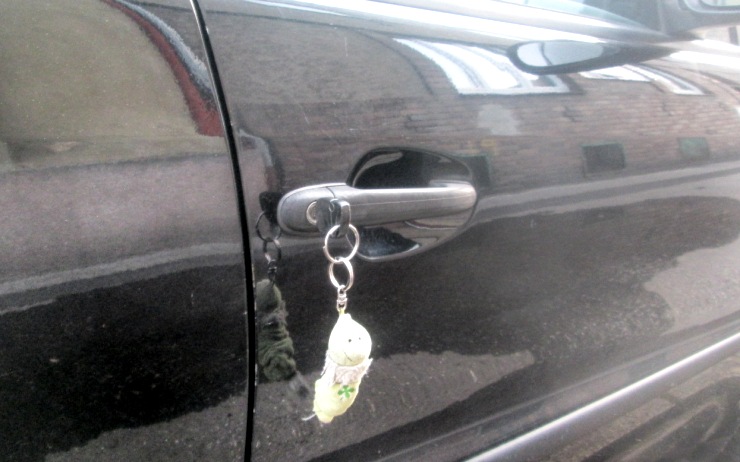 Zapomenuté klíčky v zámku. Foto: MP Chomutov